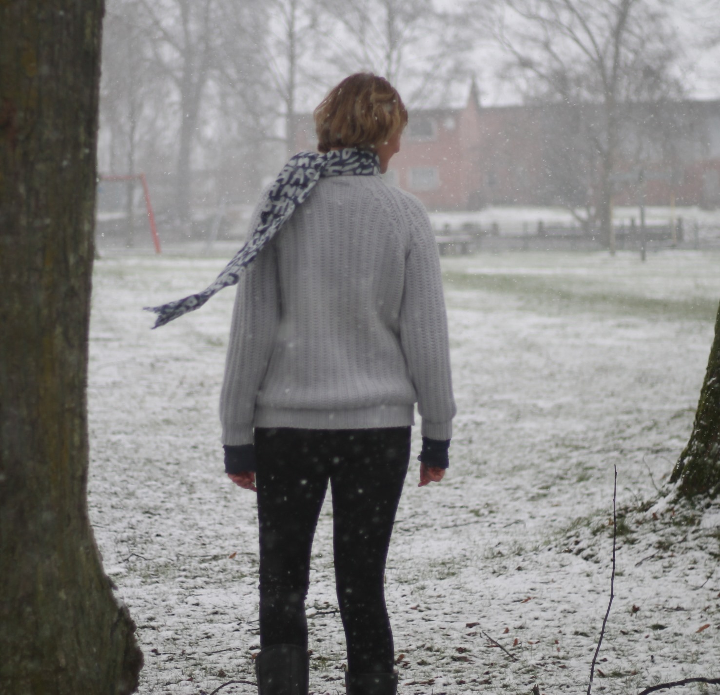 schneefall auf der krokuswiese