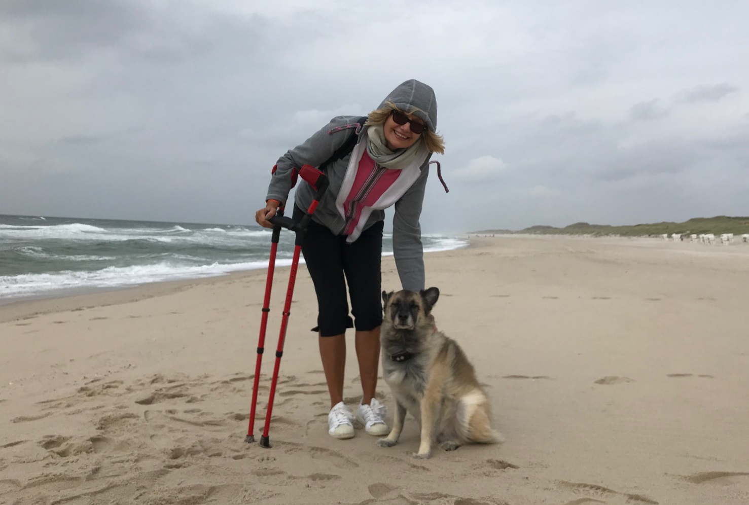 Sylt Hundestrand Ossenberg Gehilfen