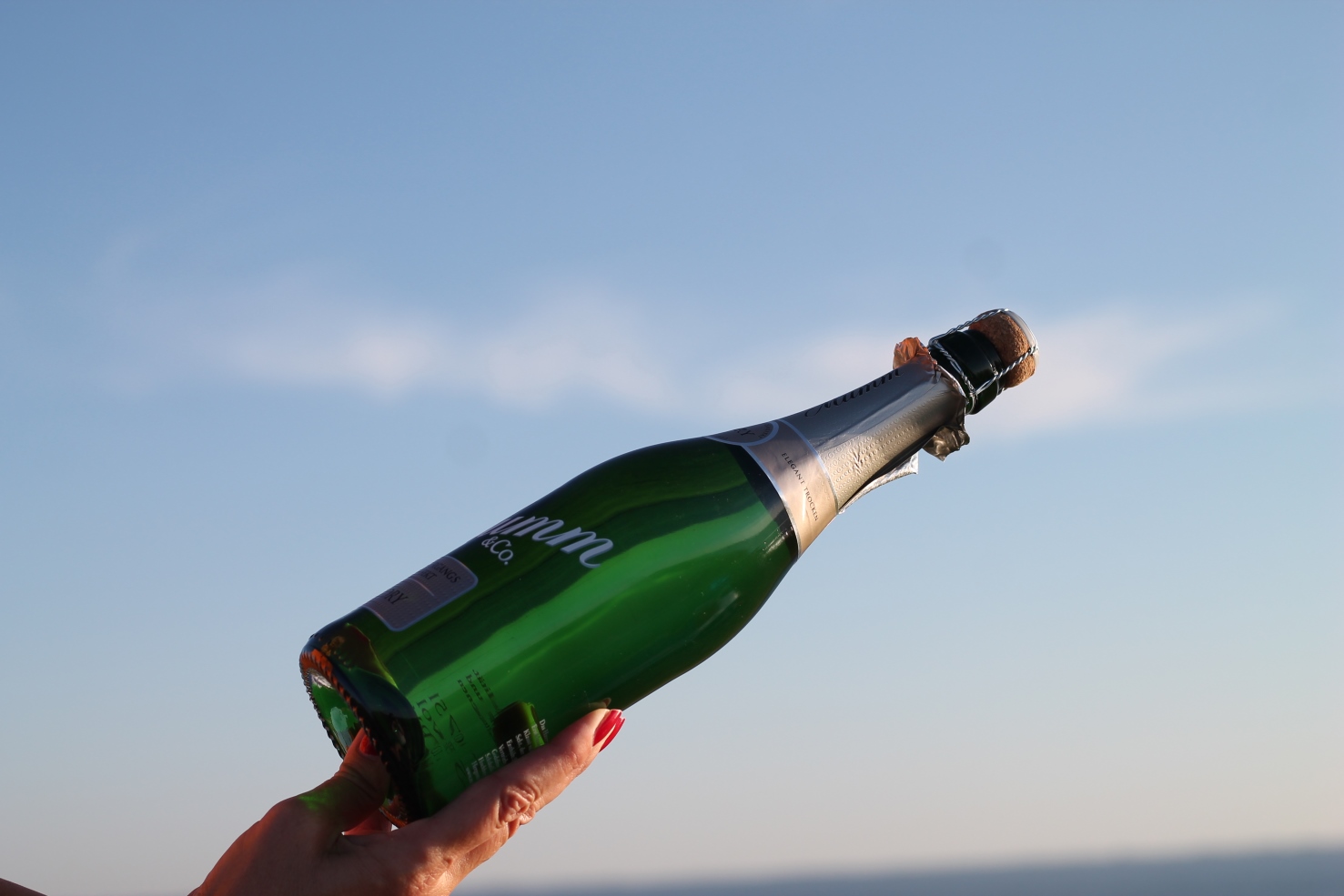 mumm sekt mummsekt sektflasche #mummhaben