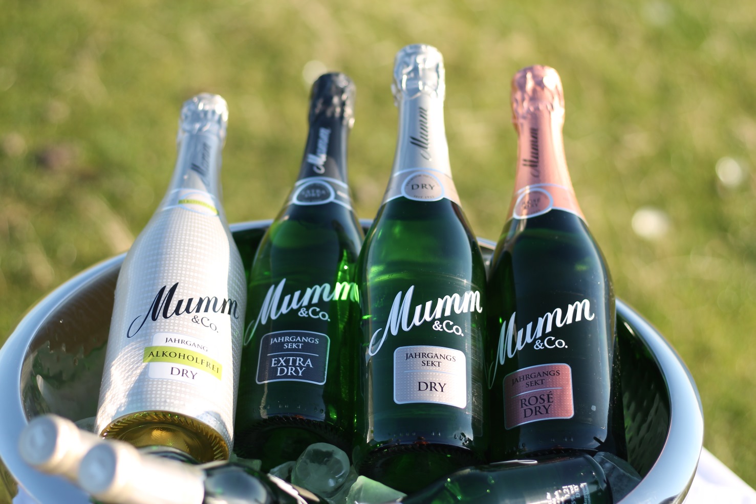 mumm sekt sektkuehler alkoholfrei dry extradry rose