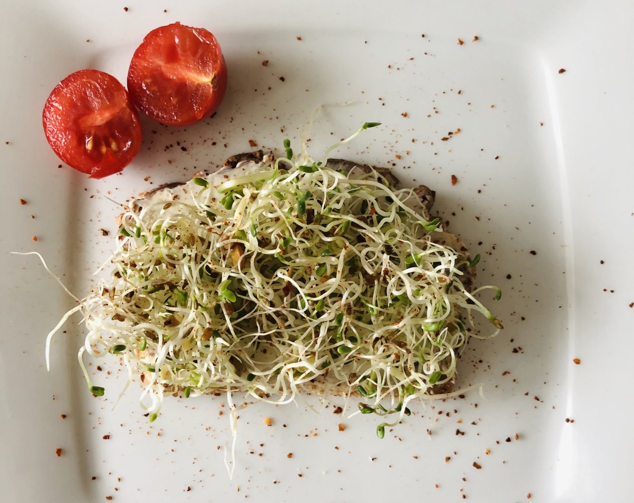 Brot mit selbstgezogenen Sprossen