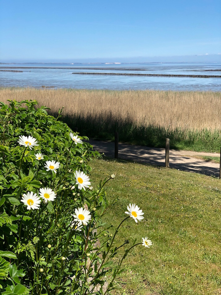 Sylt, Keitum, Blick übers Watt