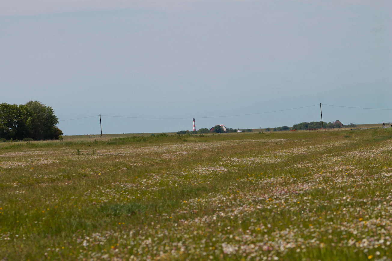 nordfriesland westerhever westerheversand leuchtturm