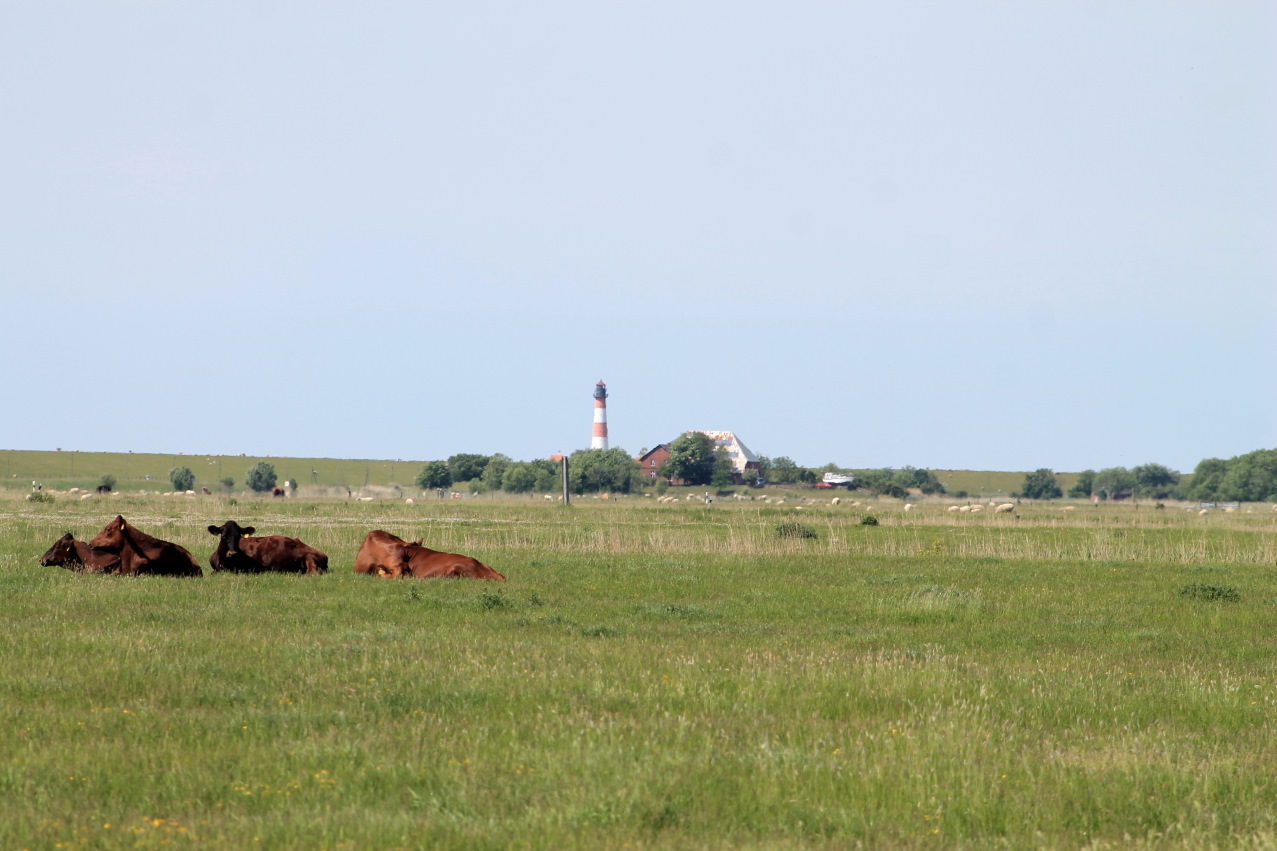 nordfriesland westerhever westerheversand leuchtturm