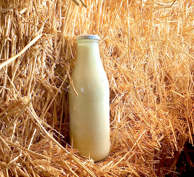 Milch, Kuhmilch, Rohmilch, Milchflasche, goldenes Stroh