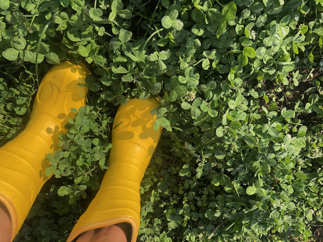 gelbe Gummistiefel auf drüber wiese