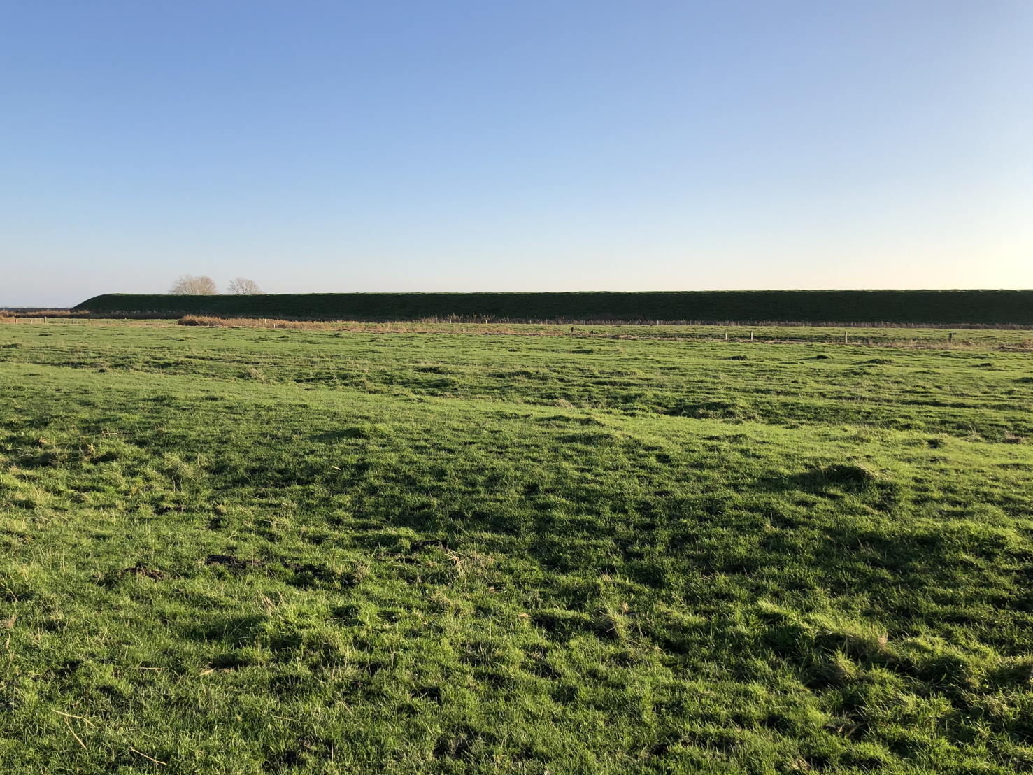 eiderstedt westerhever deich