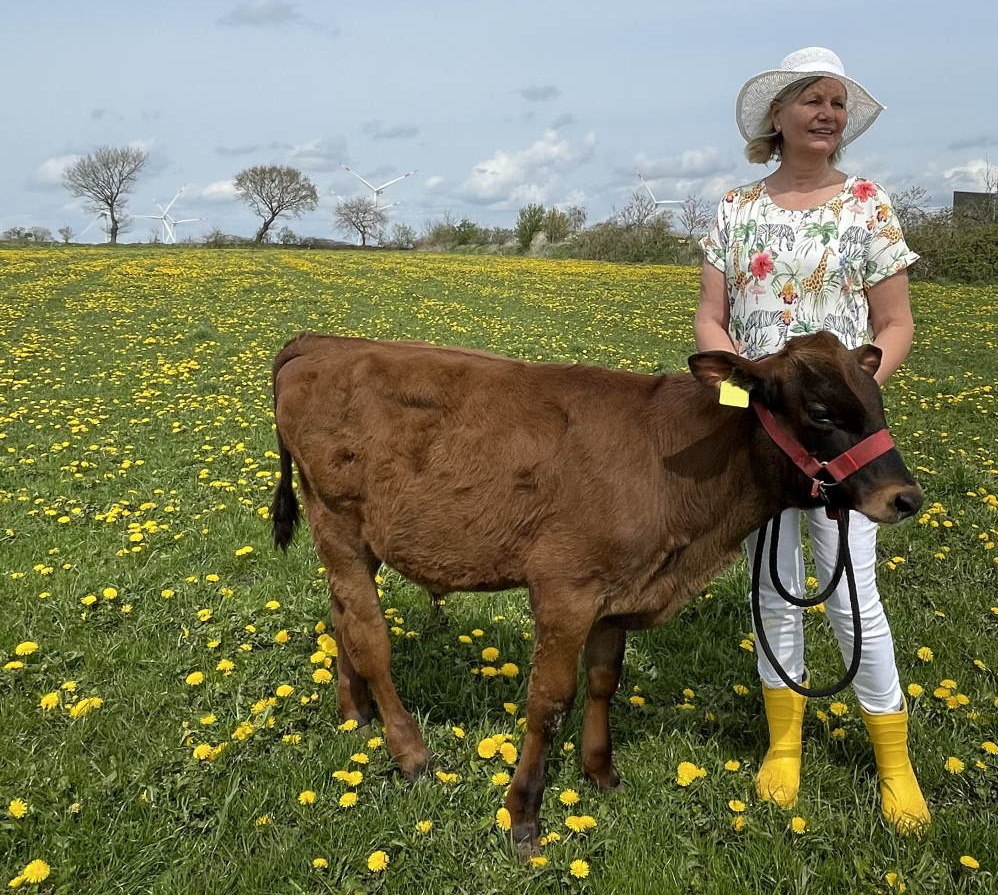 reklame klingel sommer looks auf löwenzahnwiese