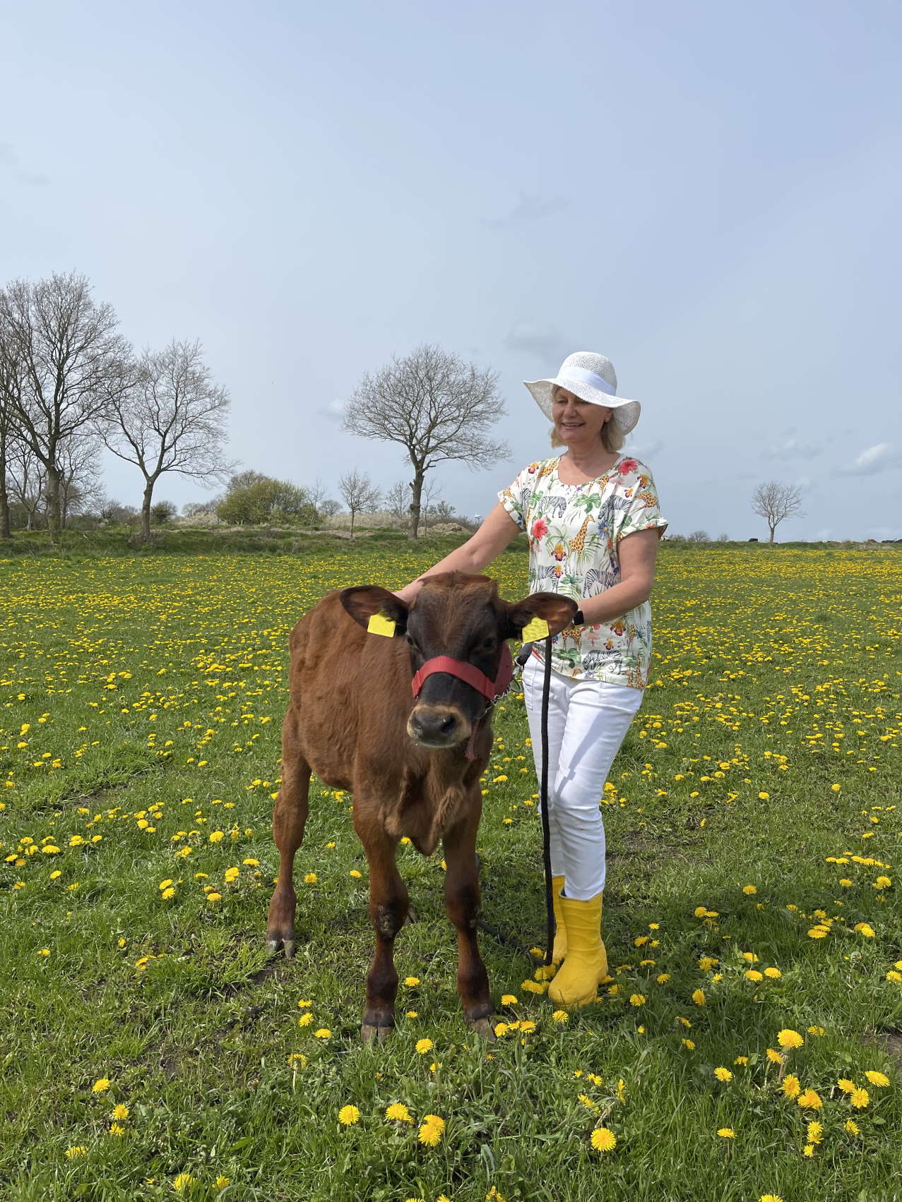 reklame klingel sommer looks auf löwenzahnwiese