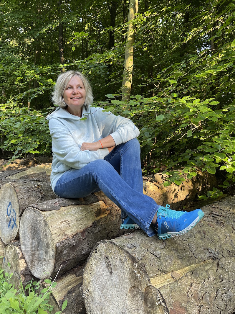 waldspaziergang pause auf baumstaemmen