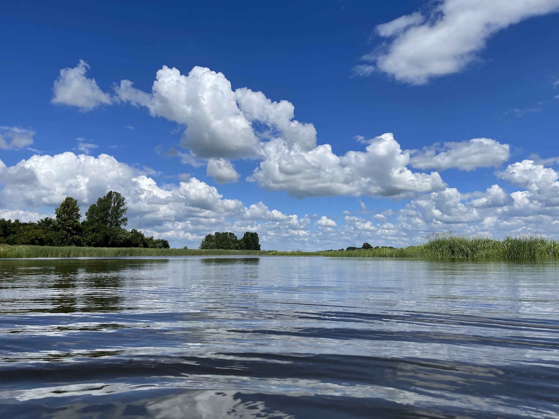 nordfriesland-treene-fluss-schwimmen