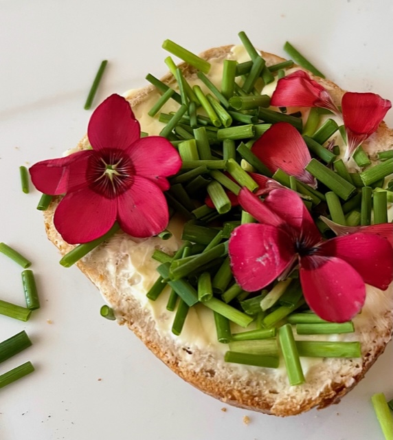 Brot Butter Schnittlauch Blüten roter Lein Flachs